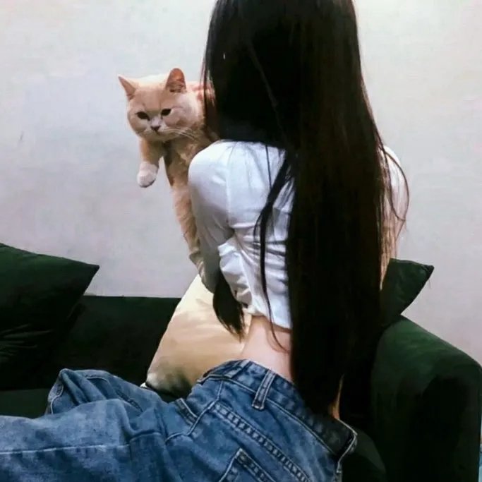 少年狮王海报